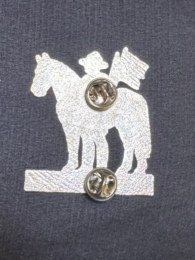 ☆大阪関西万博 EXPO2025 カナダ パビリオン 非売品 VIP ピンバッジ