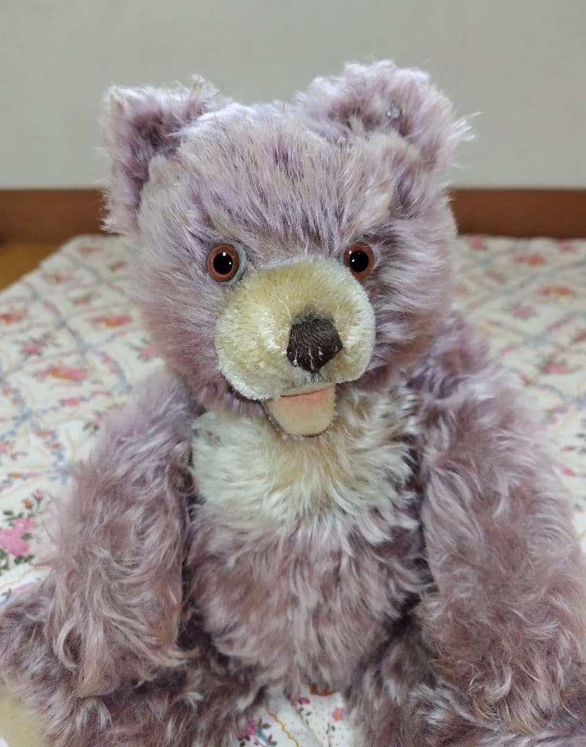 シュタイフ　小豆色のゾッティ