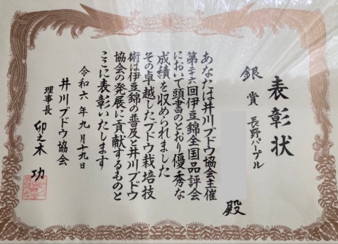 おかめナガノパープル2房、シャインマスカット2房