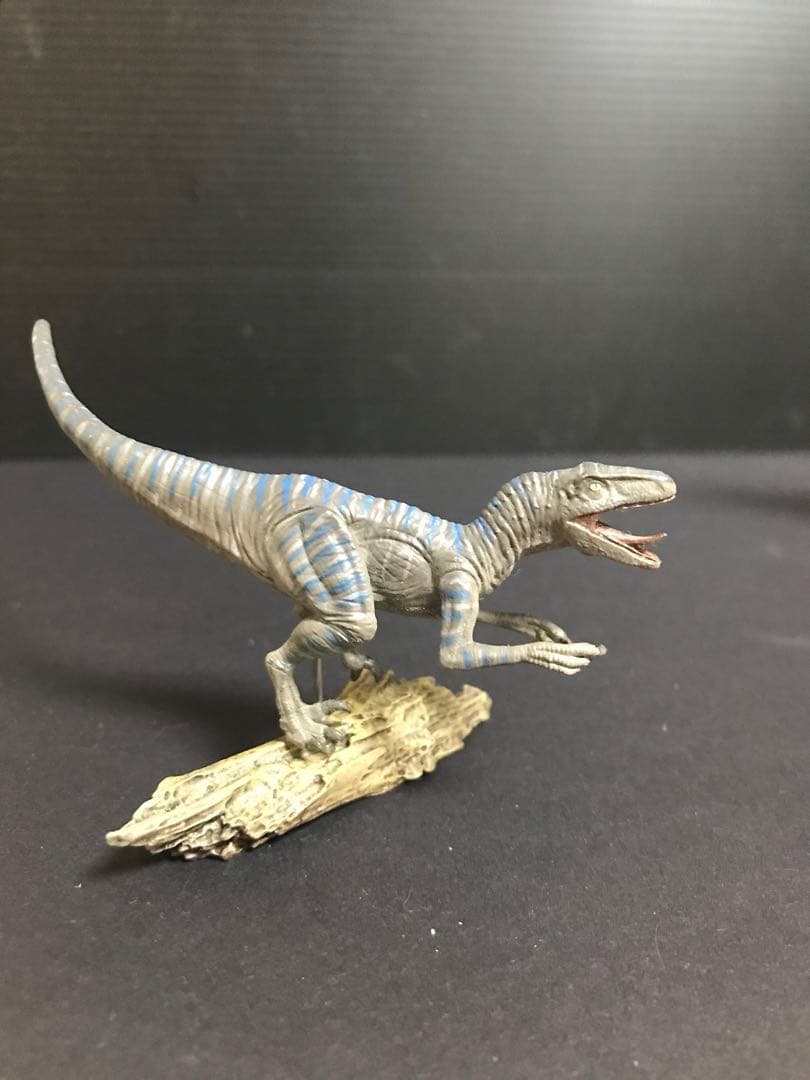 【本心楠改 1/35 ラプトル4姉妹 ver.カエサル】