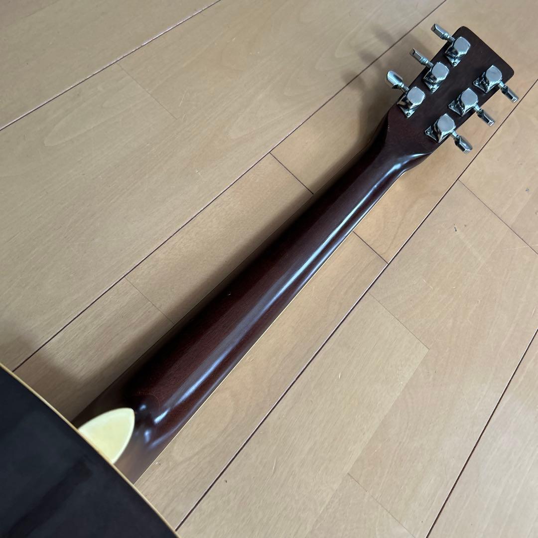 ぴょんたんCat's Eyas CE-200 東海楽器工房