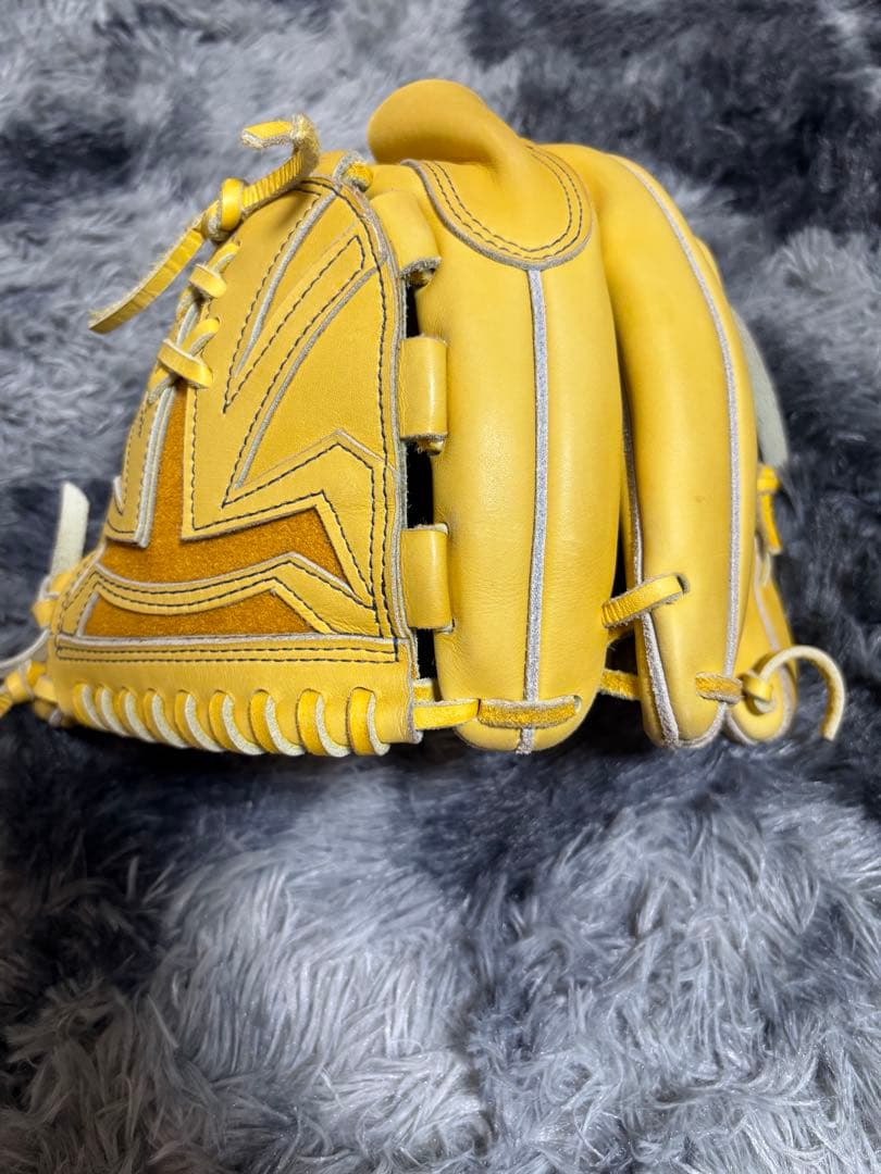 【ミズノプロ】オーダー硬式投手用グローブ