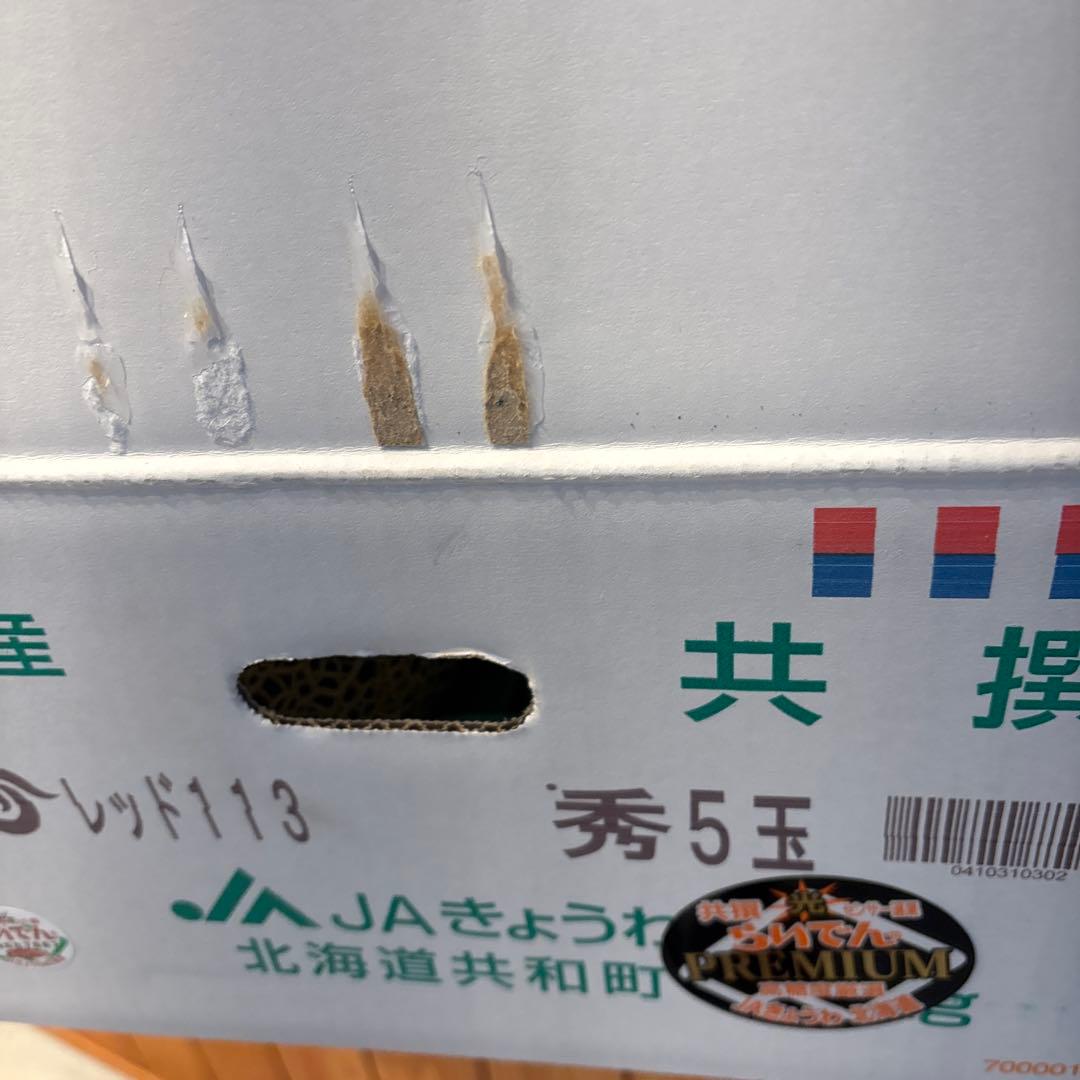 最終!!!! 北海道らいでんメロン 赤肉 「品種:レッド113」秀品 5玉8キロ