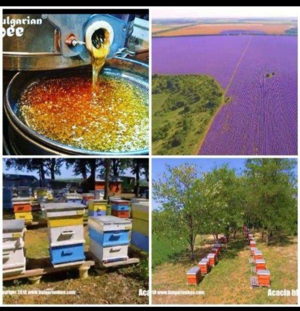 1.350kgオーガニック 生蜂蜜 アカシア2個とラベンダー １個蜂蜜ブルガリア