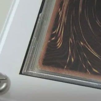 に*ー様 ドラゴンメイド チェイム 20th シークレットレア