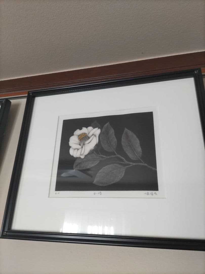小泉淳作　白い椿　版画