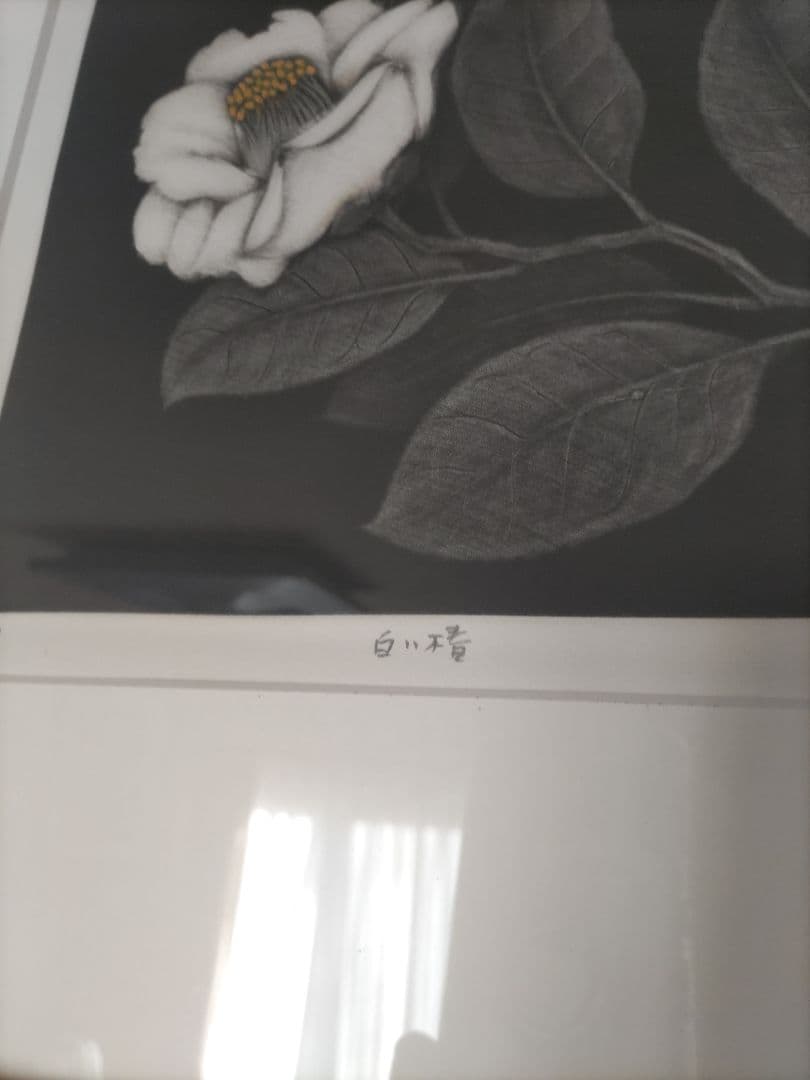 小泉淳作　白い椿　版画