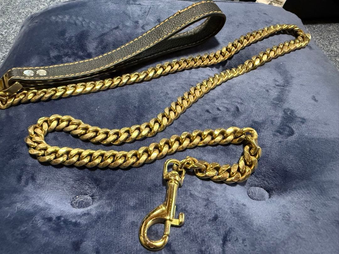 金色の首輪&リードセット