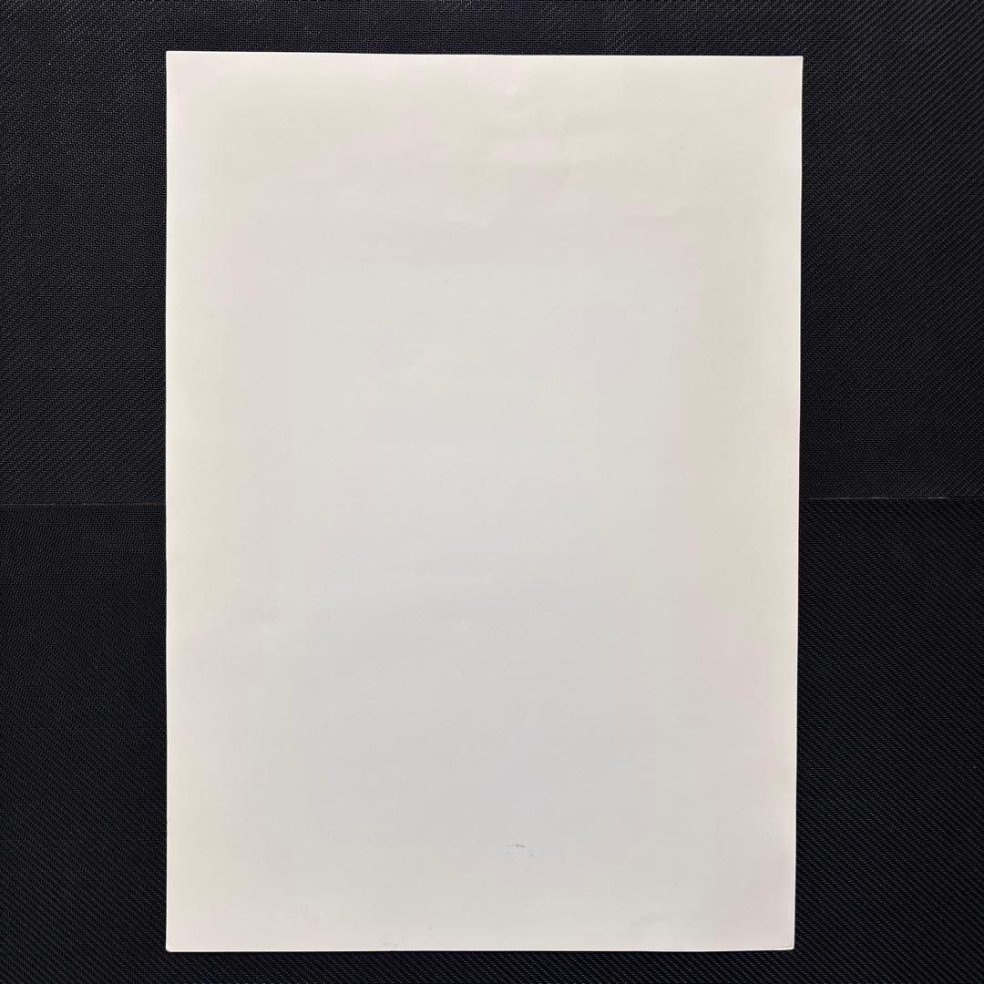 ✨️入手困難✨️ 鳥山明の世界 ドラゴンボール 複製原画 A 孫悟飯