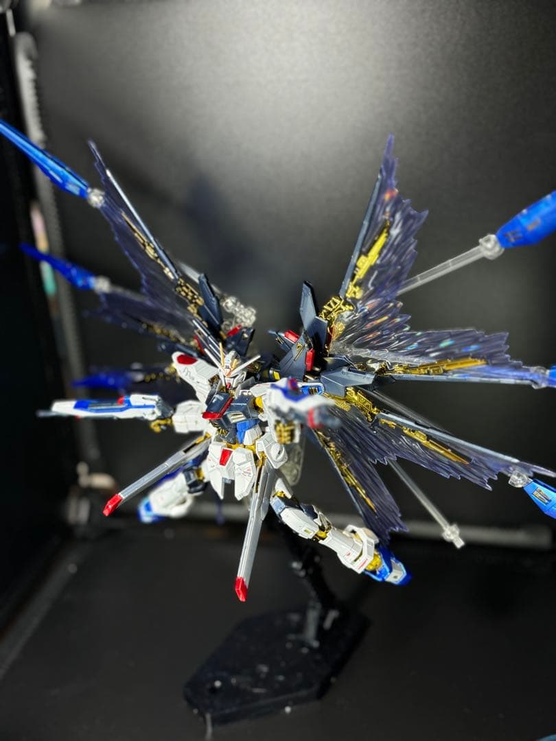 RG　ストライクフリーダムガンダム（チタニウムフィニッシュ）＋天空の翼　完成品