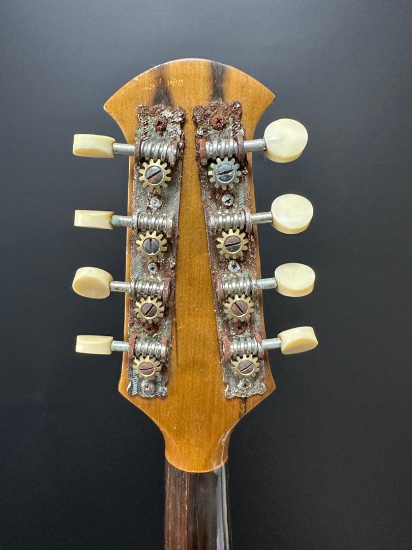 鈴木バイオリン マンドリン　Suzuki Mandolin 203 ケース付き