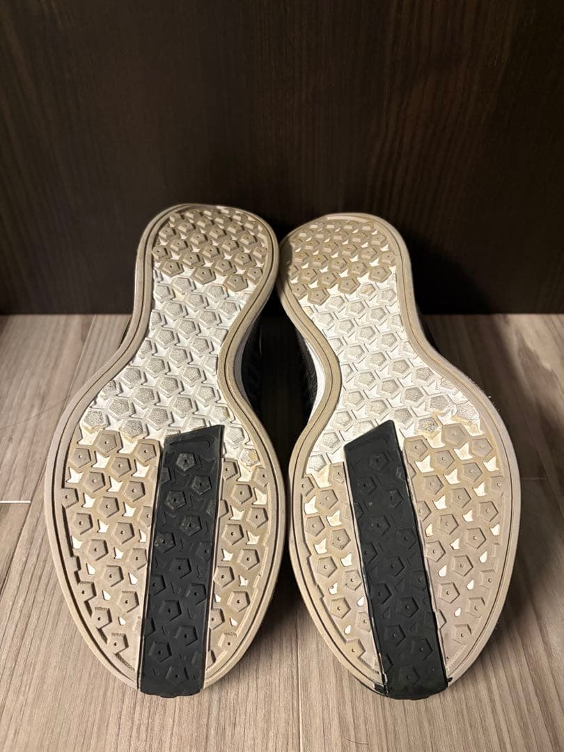 Nike ペガサスターボ2 25.5cm