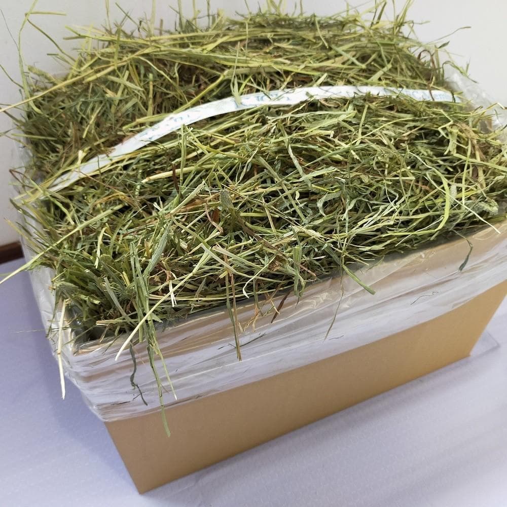 US産 チモシー 120kg ２番刈り ソフトSプレミアム