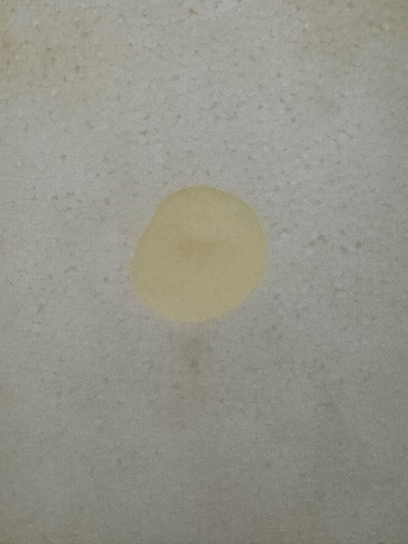 CHANNEL S CI Fish 5'4\" アルメリック