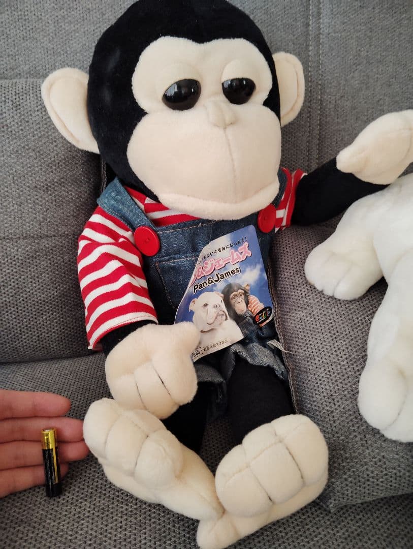非売品 パンくん ジェームズ ぬいぐるみ 天才志村どうぶつ園