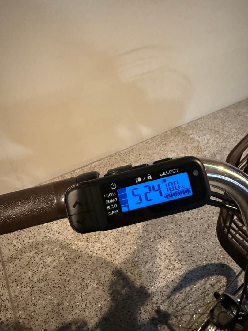 ヤマハ PAS With 2025電動自転車+Thule チャイルドシート