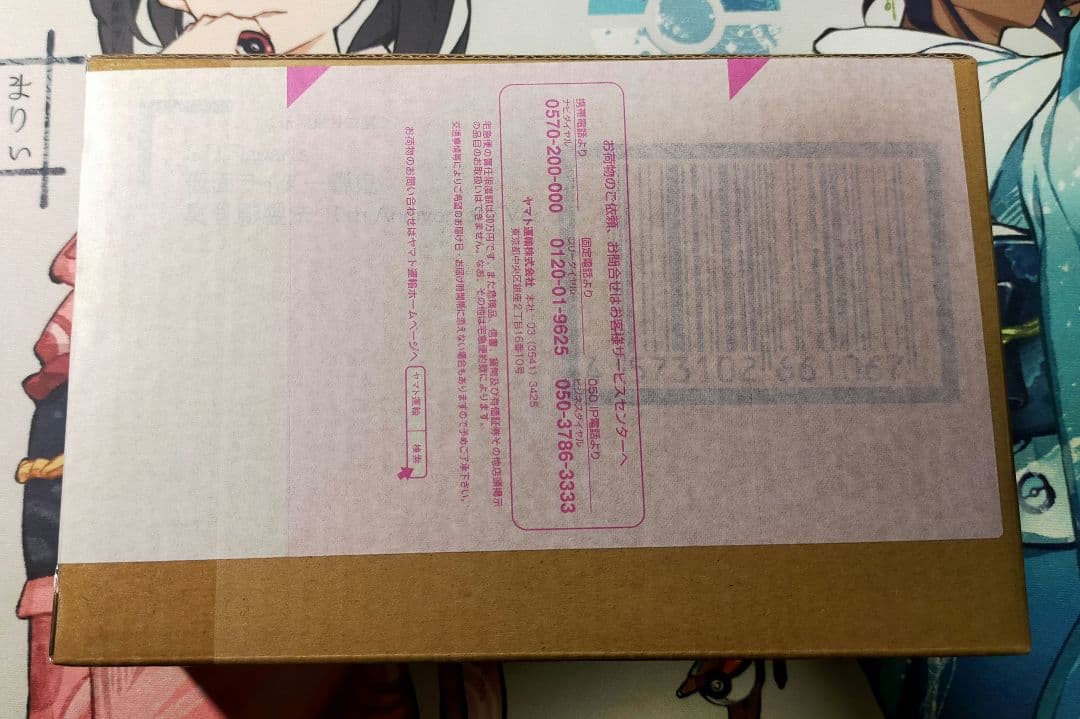 S.H.Figuarts 真骨彫製法 仮面ライダー響鬼 10th Ver.