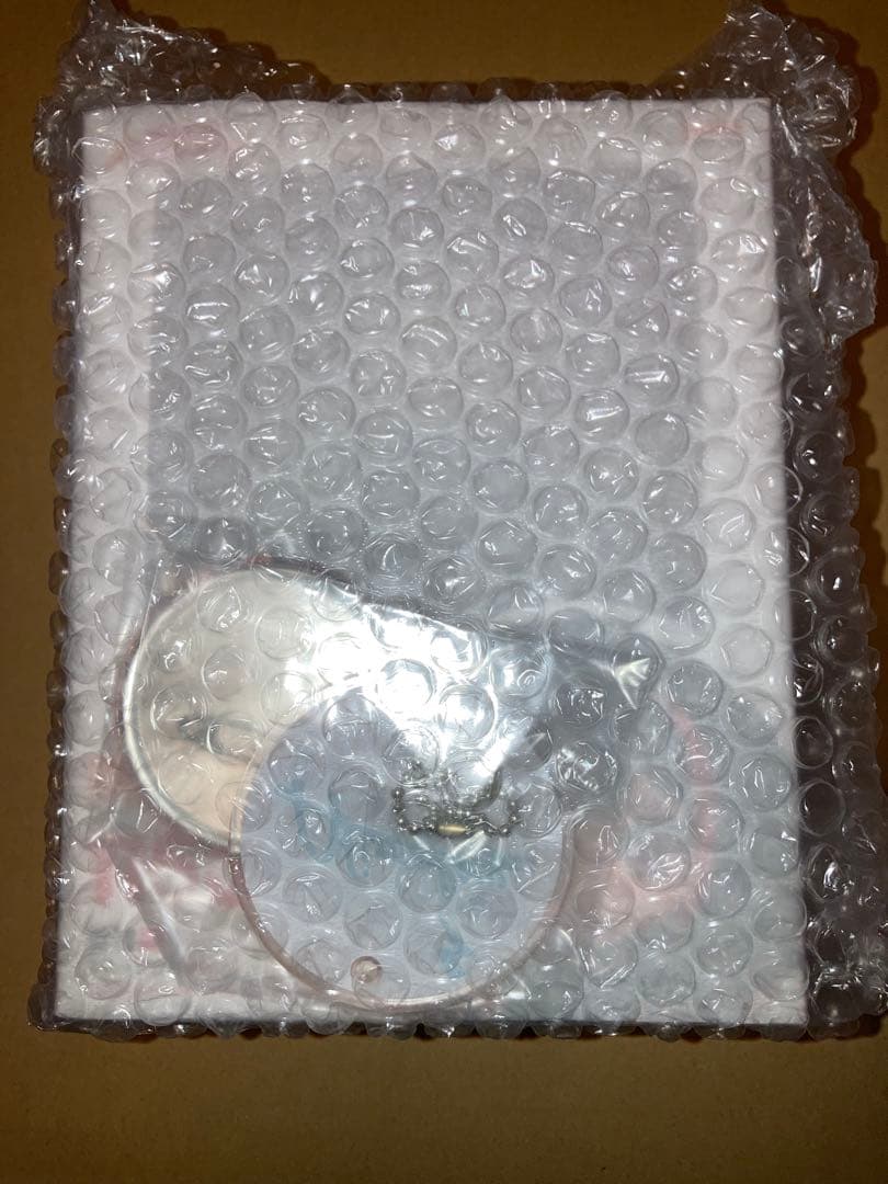 バンドリ！ ねんどろいど 美竹蘭 ステージ衣装Ver. ゲーマーズ限定特典付