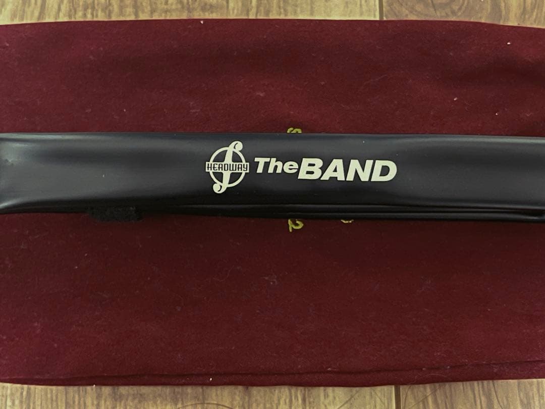 バイオリン/ピックアップ/The BAND