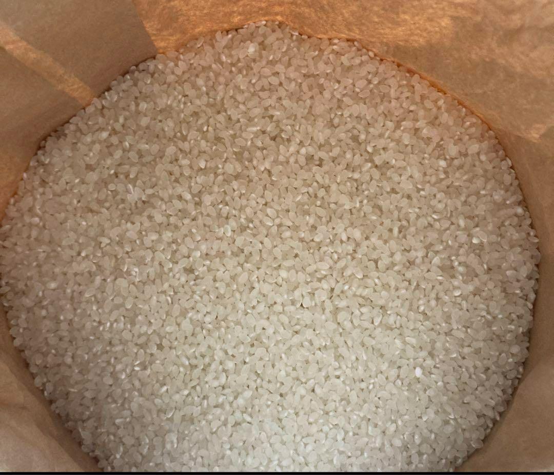 農家自慢のお米 10kg白米