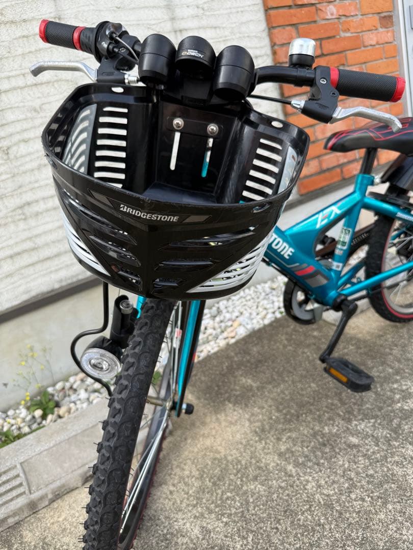 BRIDGESTONE EXJ65 22インチ　エスニックターコイズ