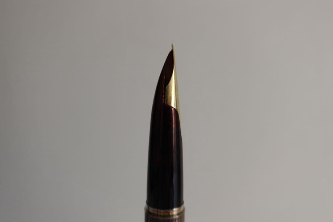 ペン先ご確認用 万年筆 パイロットエリート PILOT ELite 18K750
