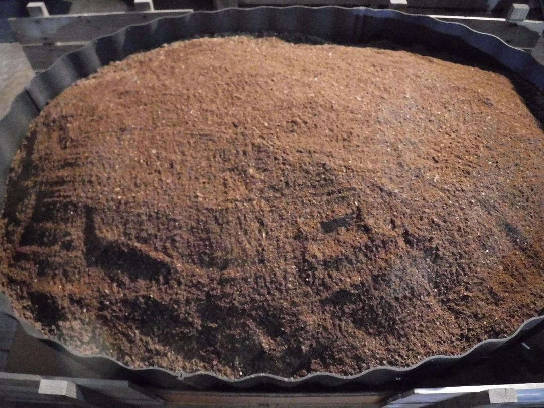 カブト虫マット：発酵熟成竹②：成虫・幼虫飼育用：３００ℓ