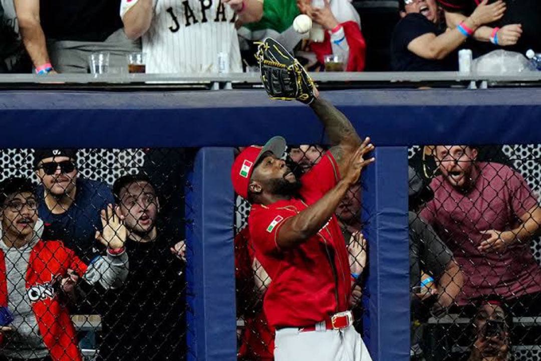 ウィルソン　オーダー　グローブ　野球