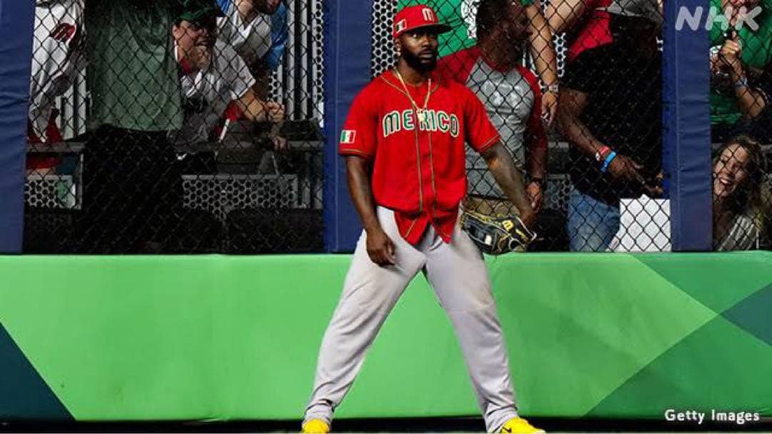 ウィルソン　オーダー　グローブ　野球