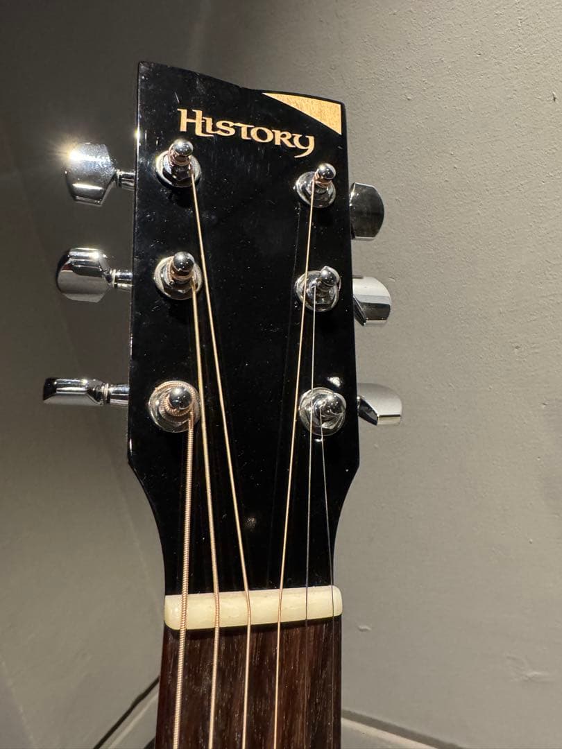 HISTORY NT-L4 専用ハードケース付き エレアコ