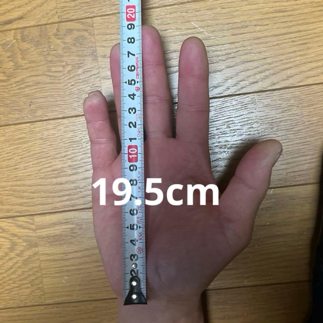 アークテリクス　VERTICAL SV Lサイズ