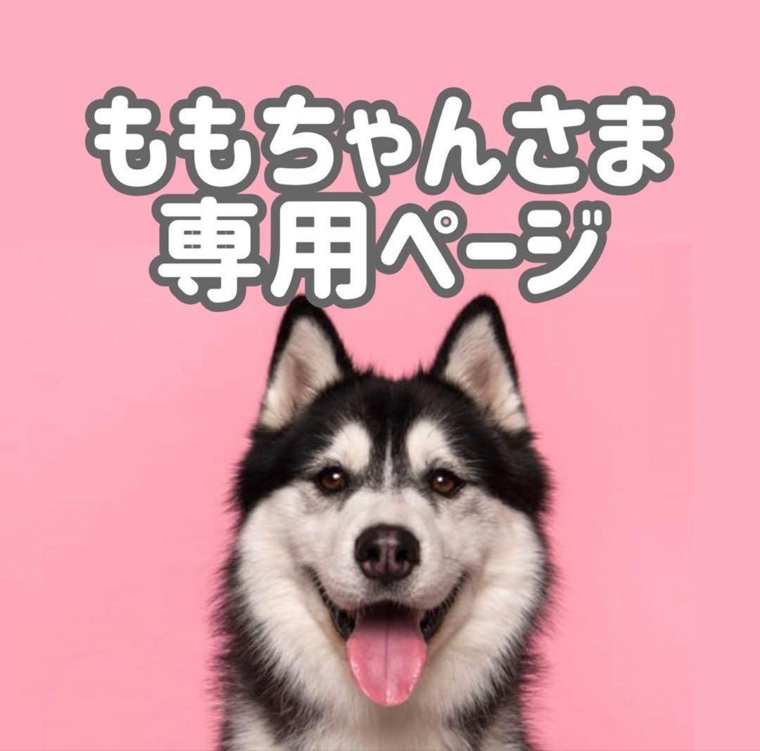 bサ18◯●ももちゃんページ●◯