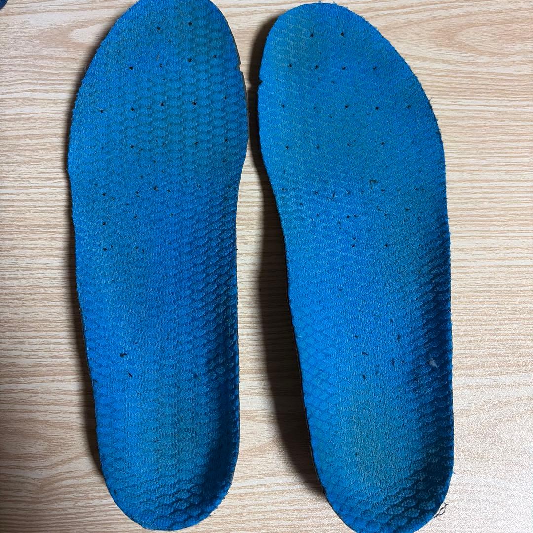 ヨネックス　インフィニティ　バドミントンシューズ　25センチ