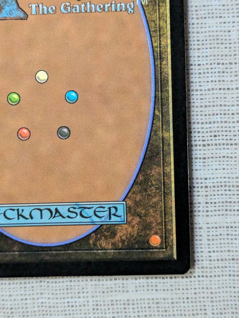 MTGカード 緻密/Subtlety シヴァ Secret Lair foil