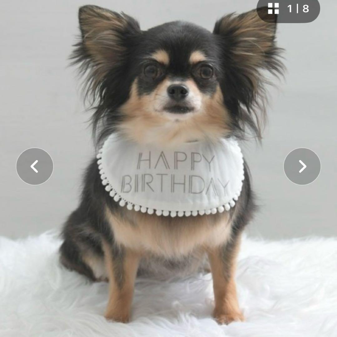 Calulu HAPPY BIRTHDAY アニバーサリースタイ