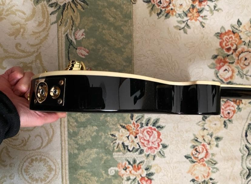 Pignose ピグノーズ PGG-259