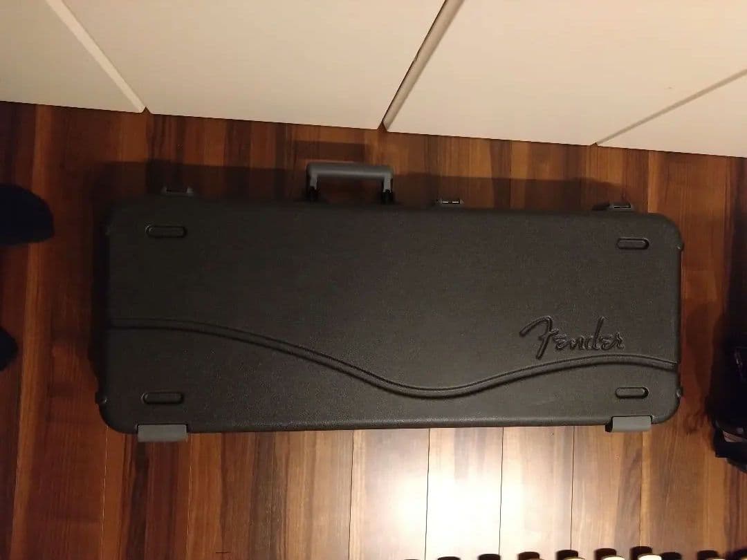 ※vivi　fender american professional ⅱ