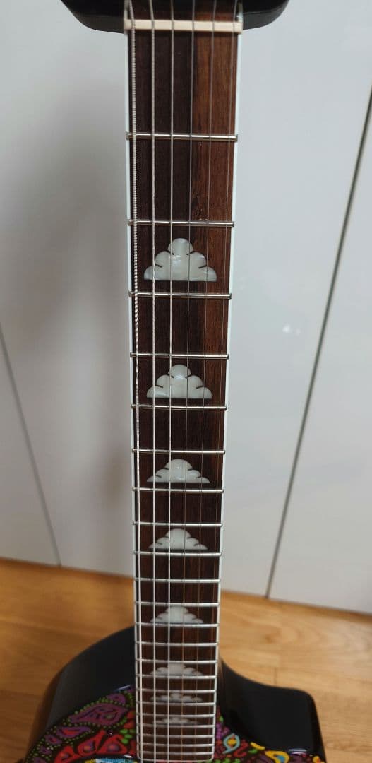 FERNANDES ZO-3 hide サイケ ハードケース付き