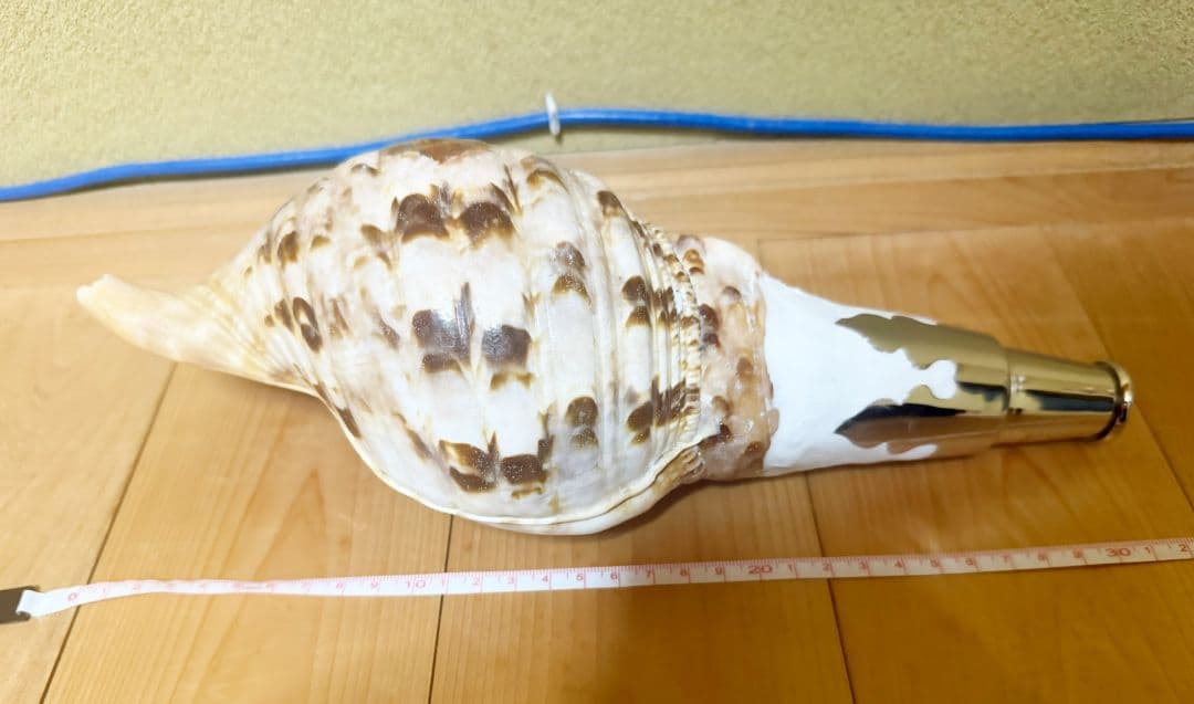 修験道法螺貝　山伏　密教　ほら貝　ホラガイ