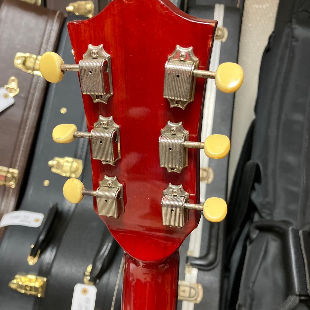 ギター Stafford SLG 360 E CH