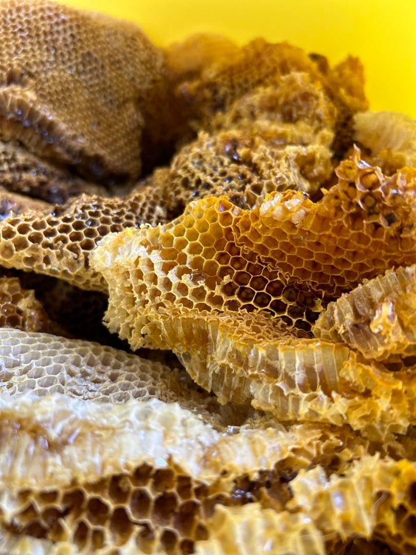 蜜蝋 ニホンミツバチ　巣クズ　4930g