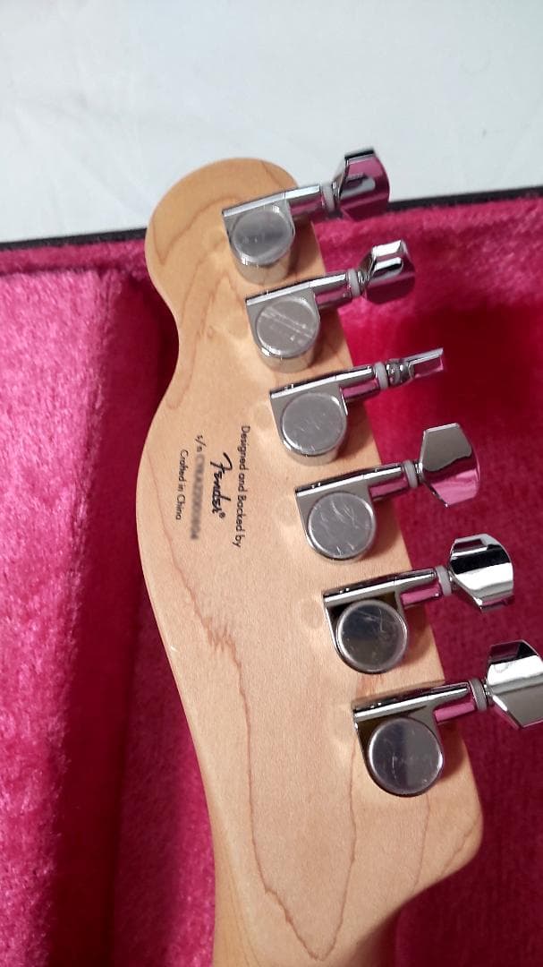 Fender Squier テレキャスター（ハードケース＆ソフトケース付）