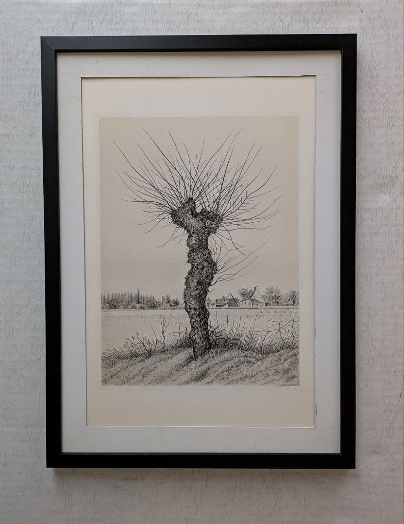 追加出品 Ｔt長谷川潔500部限定作品　「一樹・ニレの木」美品