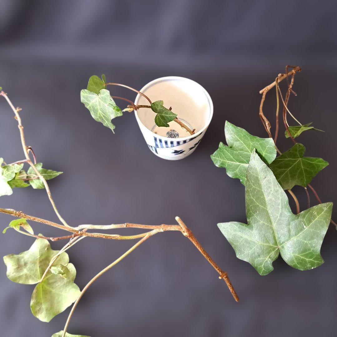 「すっきりデザイン 線と羊歯(しだ)」 古伊万里蕎麦猪口(直径7.5cm) 骨董