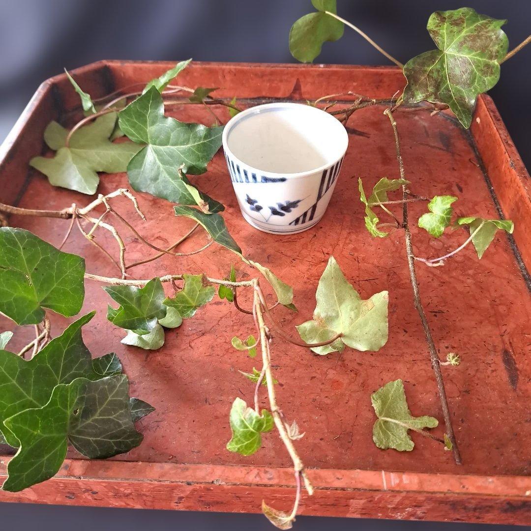 「すっきりデザイン 線と羊歯(しだ)」 古伊万里蕎麦猪口(直径7.5cm) 骨董