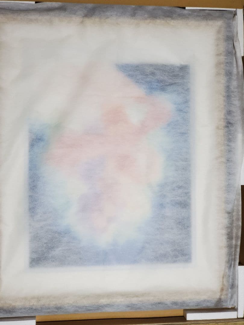 いのまたむつみ 版画 コンドライト アールビバン