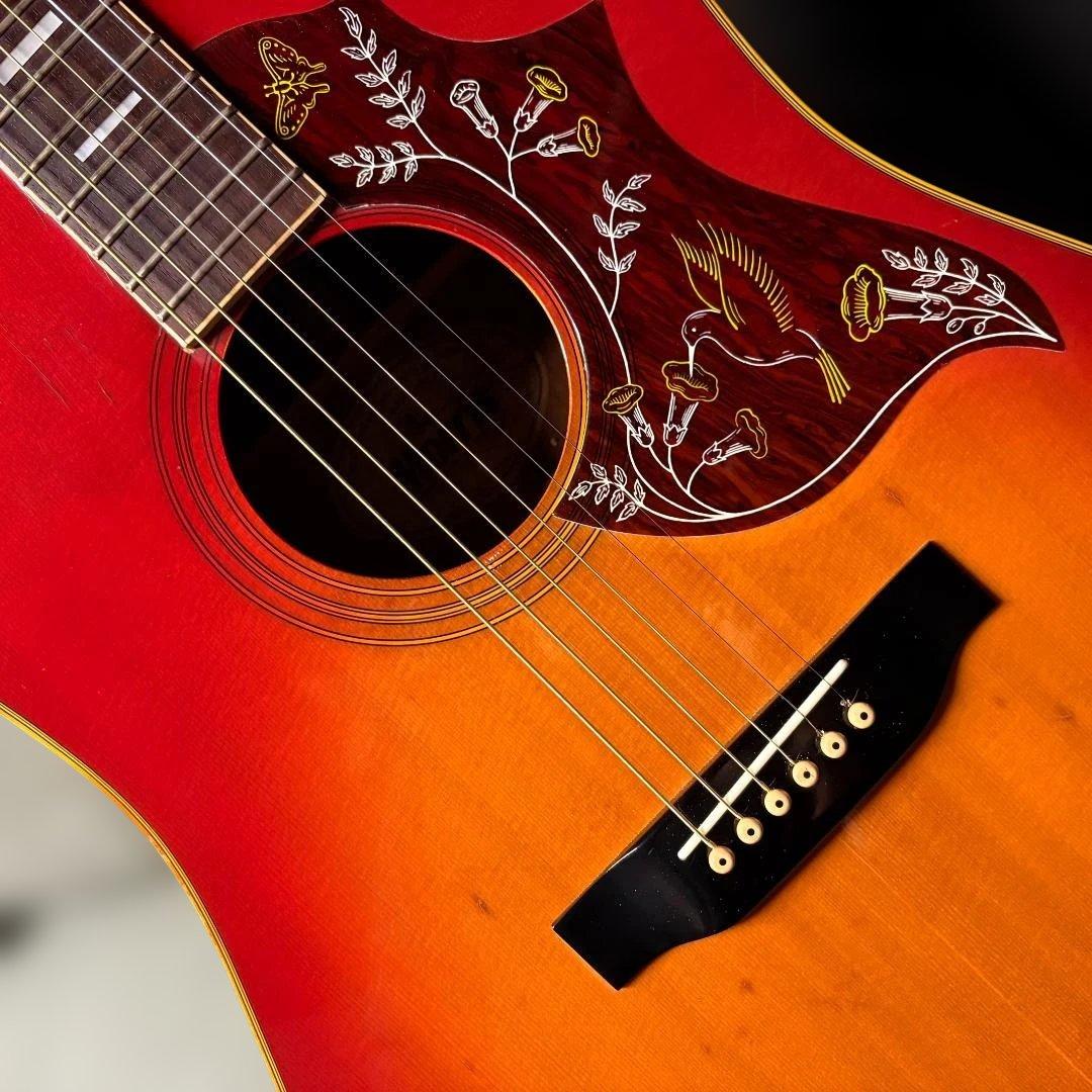 ★本家さながらのジャキ鳴！モーリス・ハミングバードモデル WH-20！ 超美品★