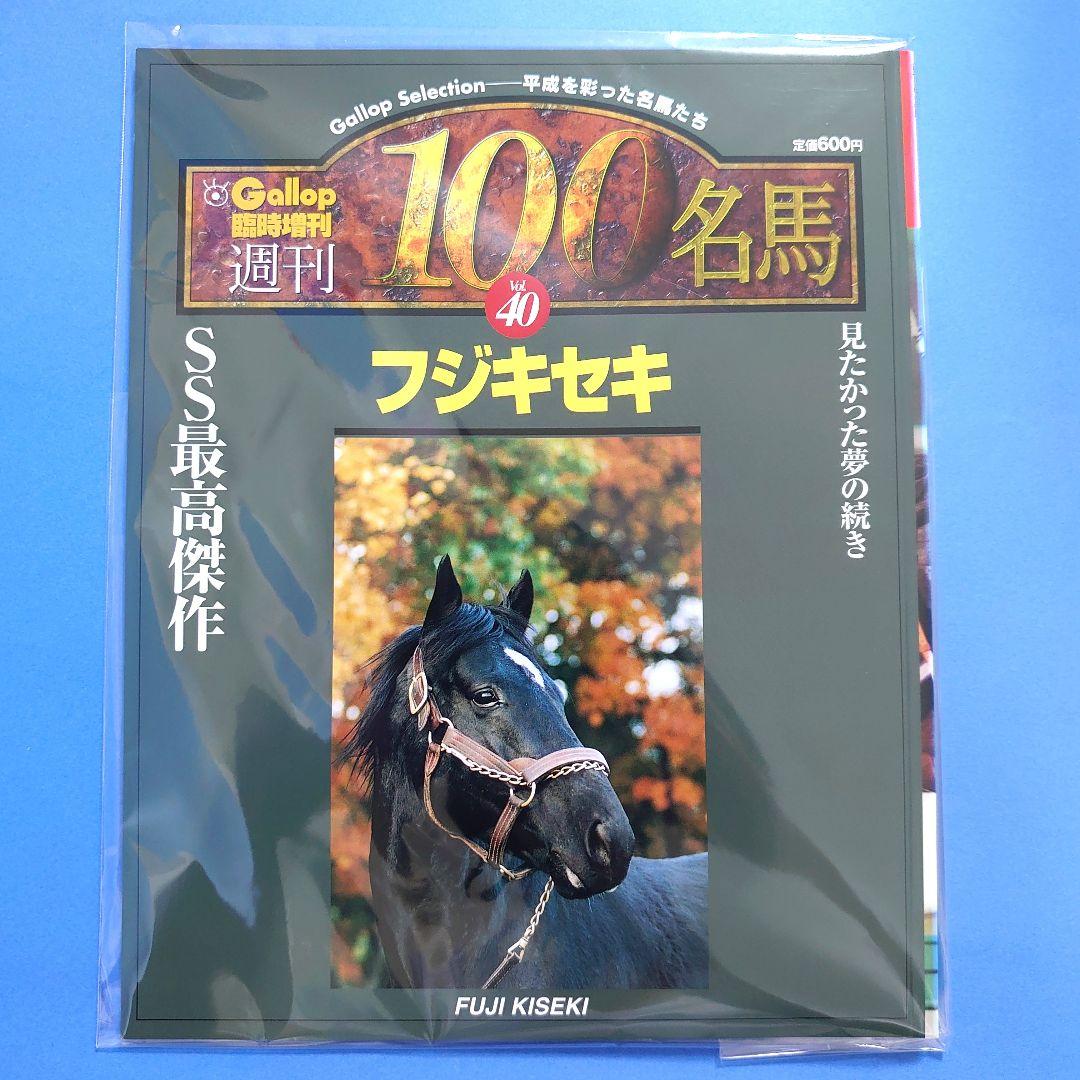 【稀少品】フジキセキ 競馬ぬいぐるみウマ娘 アイドルホース馬AVANTI