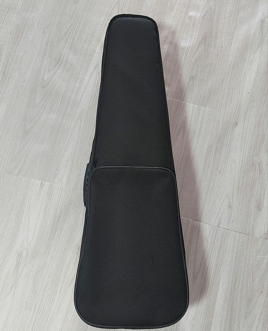 カルロジョルダーノ ヴァイオリン VS-2 4/4 ケース、弓、松脂付き