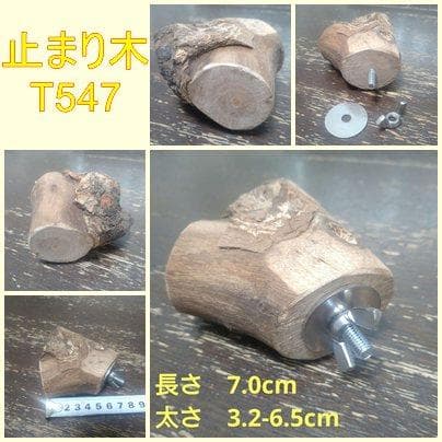 【kana】ローパーチ、止まり木セット